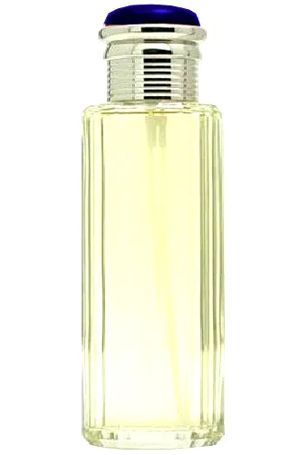 Society by Burberry
