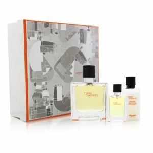 Terre d' Hermes Gift Set by Hermes